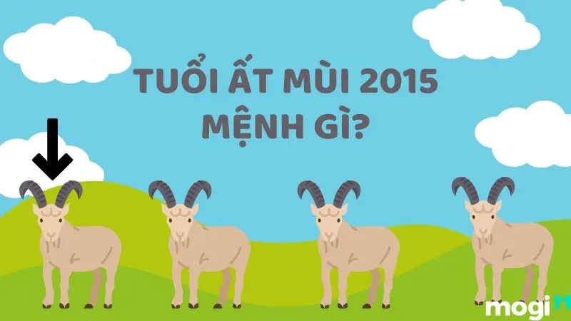 Sn 2015 mệnh gì? Tìm hiểu tuổi hợp trong cuộc sống, màu sắc Sn 2015 mệnh gì? Tìm hiểu những điều cần biết với người sinh năm 2015