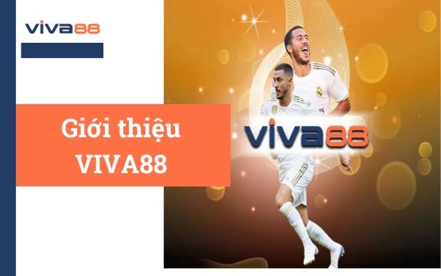 Vina net – Địa chỉ tin cậy cho niềm đam mê cá cược của bạn Cf68