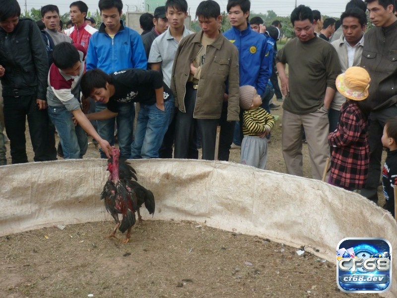 Anh em nên áp dụng các chiến lược hợp lý để làm chủ trận đấu