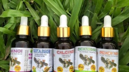 thuốc tăng lực gà đá – Cách dùng và top thuốc tăng lực hiệu quả