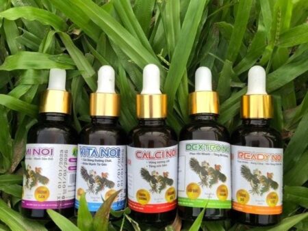 thuốc tăng lực gà đá – Cách dùng và top thuốc tăng lực hiệu quả