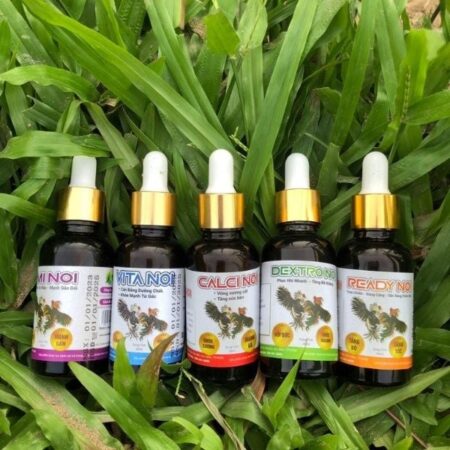 thuốc tăng lực gà đá – Cách dùng và top thuốc tăng lực hiệu quả