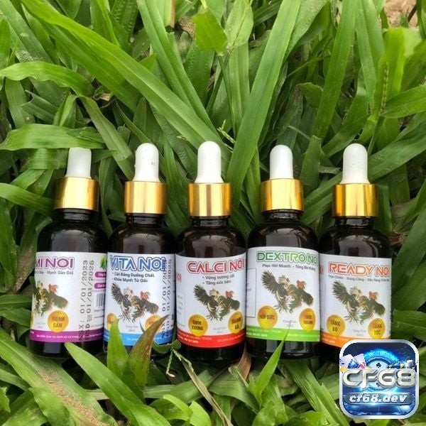 Các bạn cần lựa chọn từng loại thuốc để gà của mình sử dụng phù hợp nhất với thể trạng của chúng