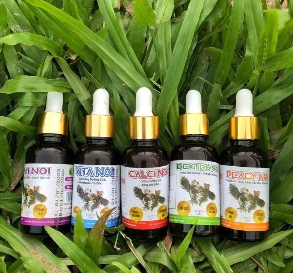 thuốc tăng lực gà đá – Cách dùng và top thuốc tăng lực hiệu quả