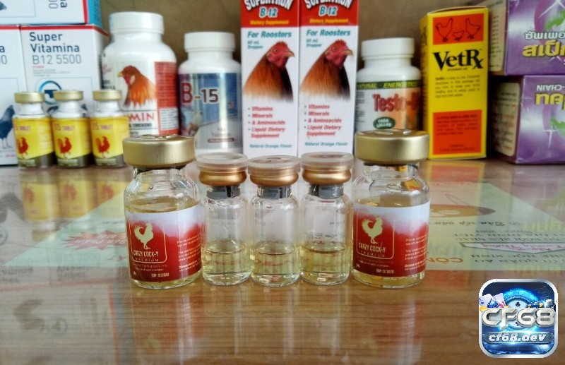 Thuốc tăng lực gà đá là để hỗ trợ tăng cường thể trạng và hiệu suất của các chiến kê qua từng trận đấu