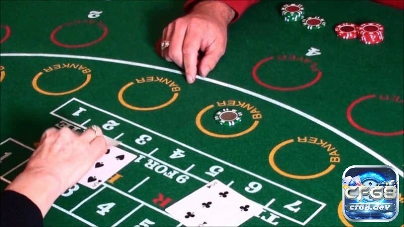 Hướng dẫn cược bài baccarat chi tiết dành cho người mới
