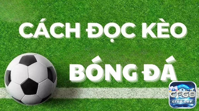 Trong cách đọc kèo tài xỉu có nhiều tỷ lệ cược và dạng cược quy định khác nhau