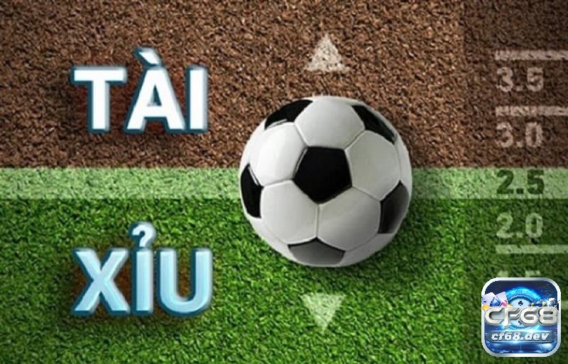 Cách đọc kèo tài xỉu cần tránh các sai lầm không đáng có để tối ưu cơ hội chiến thắng