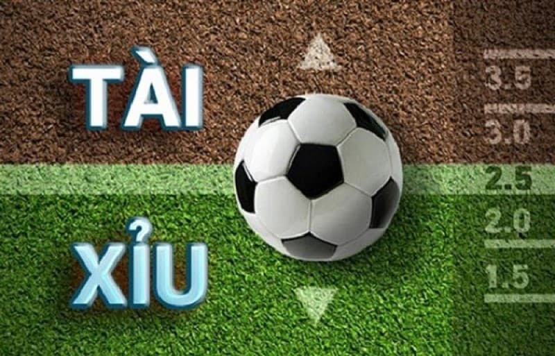 Cách đọc kèo tài xỉu: Hướng dẫn chi tiết cho người mới 2025