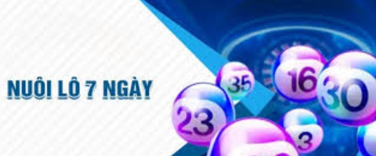 Cách nuôi lô khung 7 ngày hiệu quả – Bí quyết từ chuyên gia