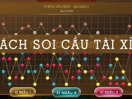 Cách xem cầu tài xỉu: Hướng dẫn chuẩn xác nhất cho người mới
