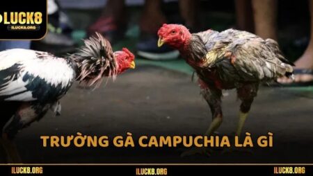 Trường gà Campuchia – Top 5 địa điểm nổi tiếng nhất 2025