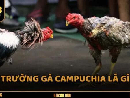 Trường gà Campuchia – Top 5 địa điểm nổi tiếng nhất 2025
