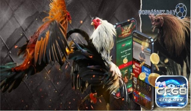 Trường gà thomo là một nền tảng trực tuyến cho phép người chơi theo dõi và tham gia vào các trận đấu gà một cách trực tiếp