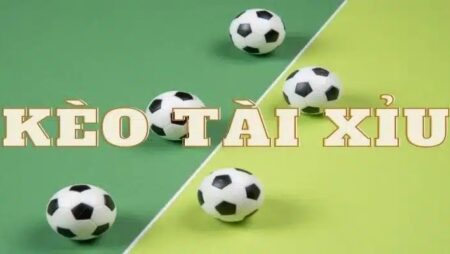 Tài xỉu 2 trái 3 4 là sao? Giải mã kèo chi tiết và cách tính tiền
