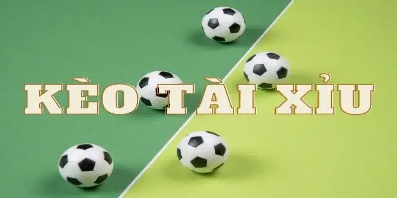 Tài xỉu 2 trái 3 4 là sao? Giải mã kèo chi tiết và cách tính tiền